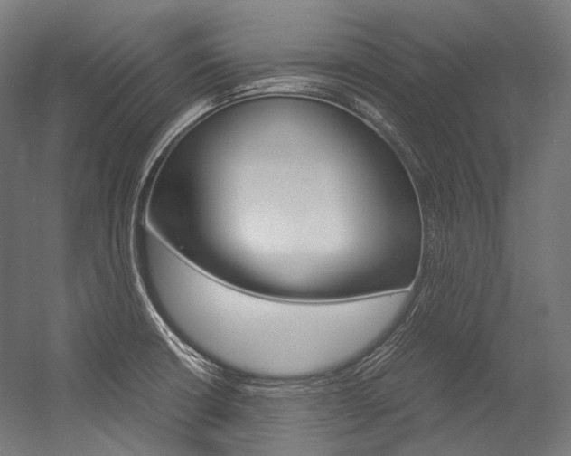 X0000054471426200507291036