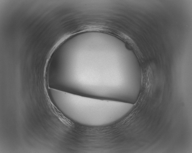 X0000054471427200507291036