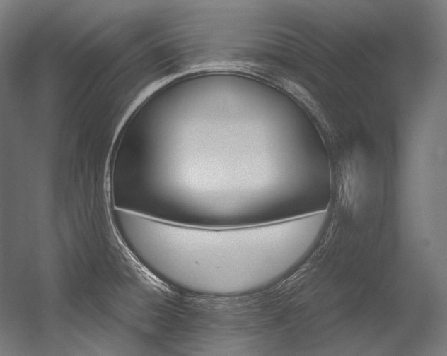 X0000054471428200507291036