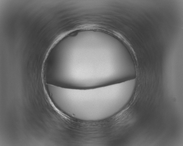 X0000054471429200507291036