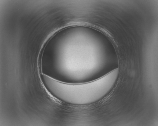 X0000054471430200507291036