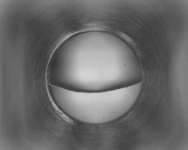 X0000054471431200507291036