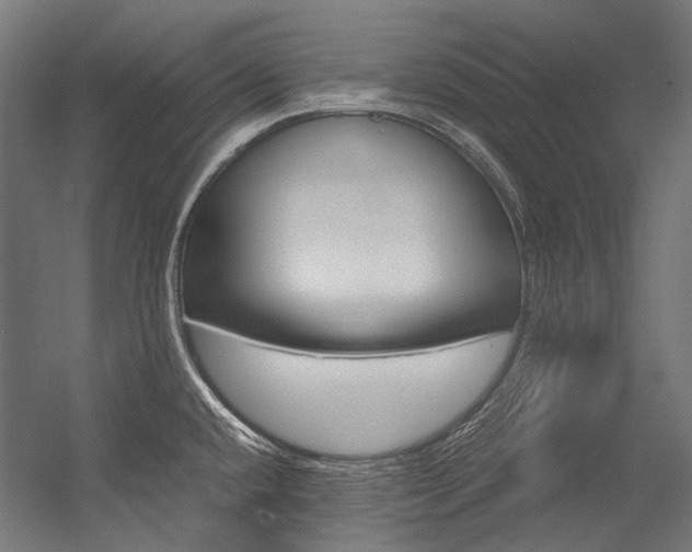 X0000054471432200507291036