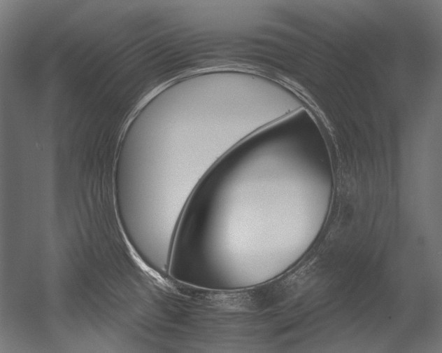 X0000054471433200507291036