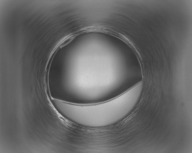 X0000054471434200507291036