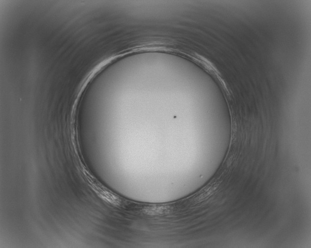X0000054471435200507291036