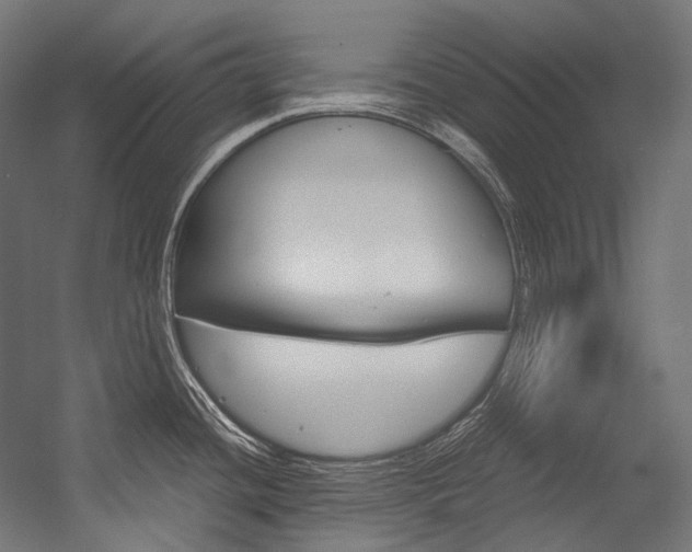 X0000054471436200507291036