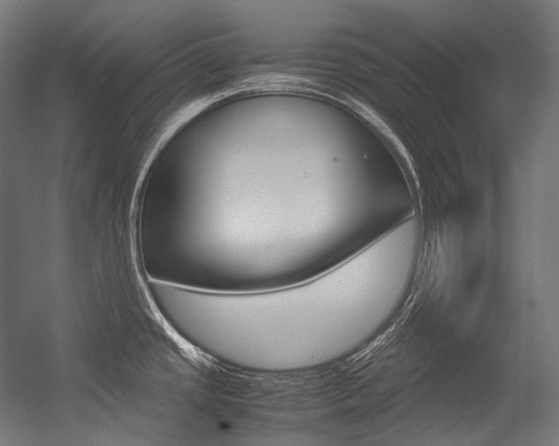 X0000054471437200507291036