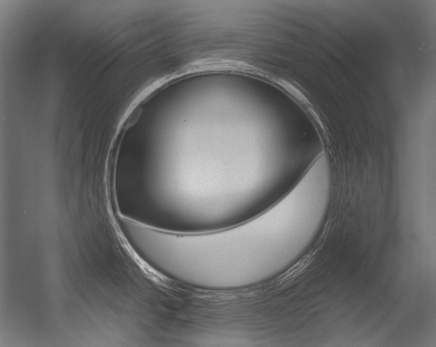 X0000054471438200507291036