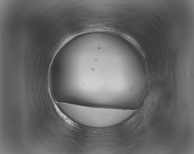 X0000054471439200507291036