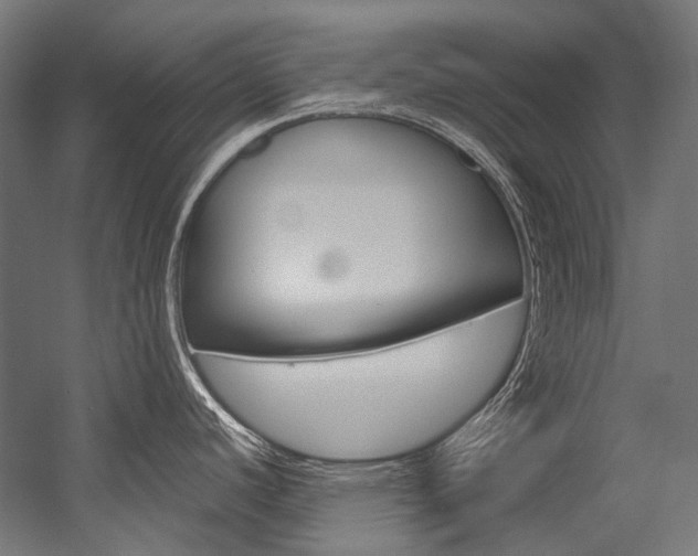 X0000054471440200507291036