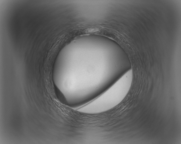 X0000054471441200507291035