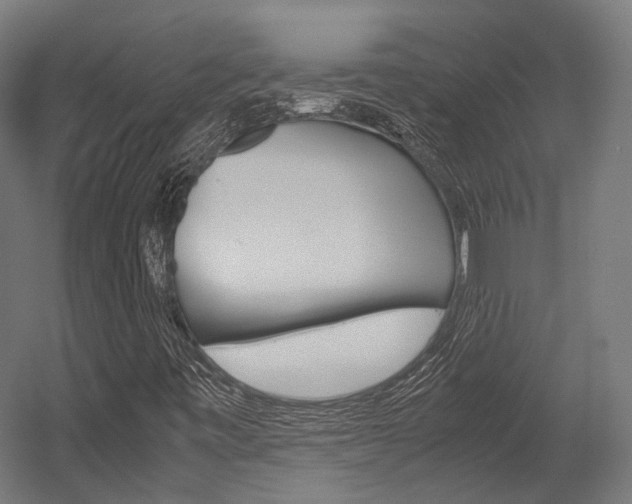 X0000054471443200507291035