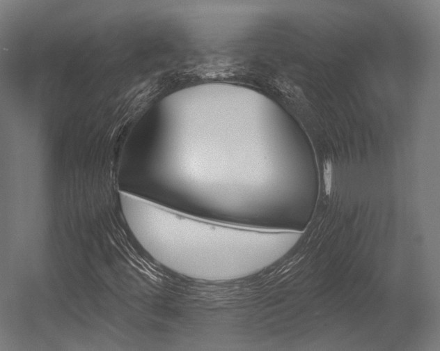 X0000054471444200507291035
