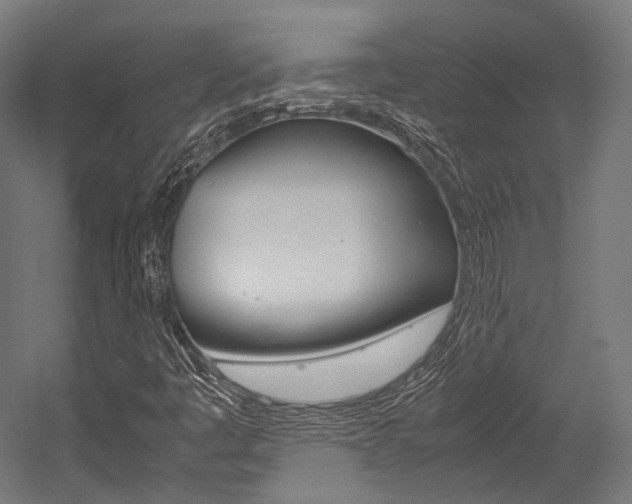 X0000054471445200507291035