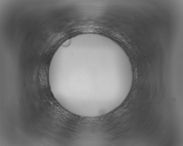 X0000054471446200507291035
