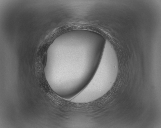 X0000054471447200507291035