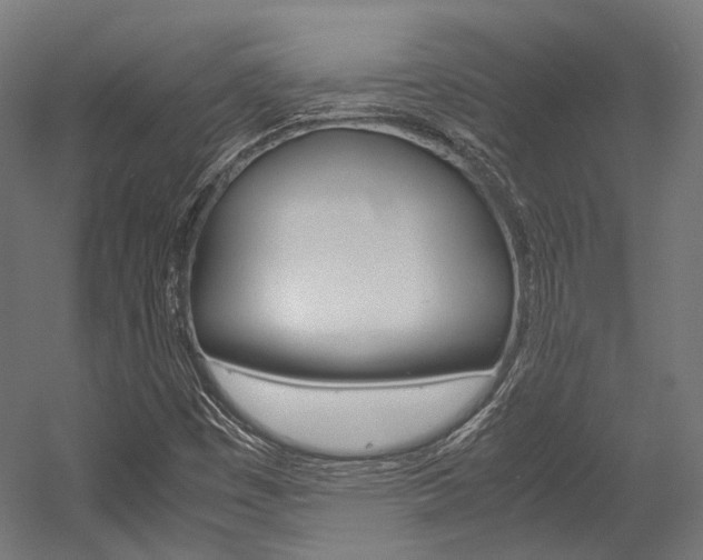 X0000054471449200507291035