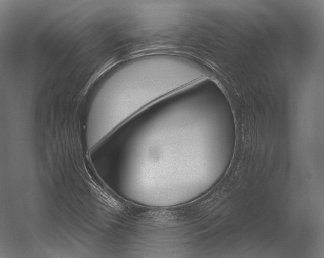 X0000054471450200507291035