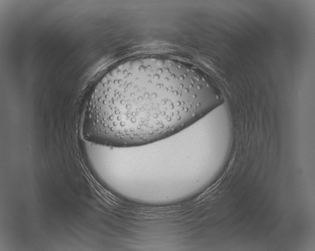 X0000054471451200507291035