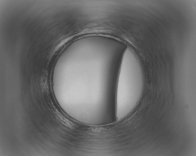 X0000054471452200507291035