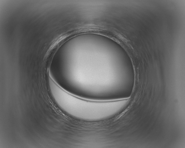 X0000054471453200507291035