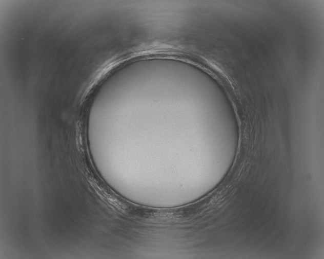 X0000054471455200507291035