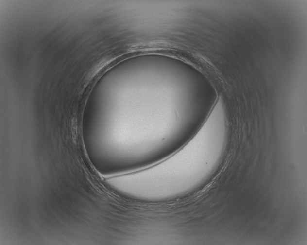X0000054471457200507291035