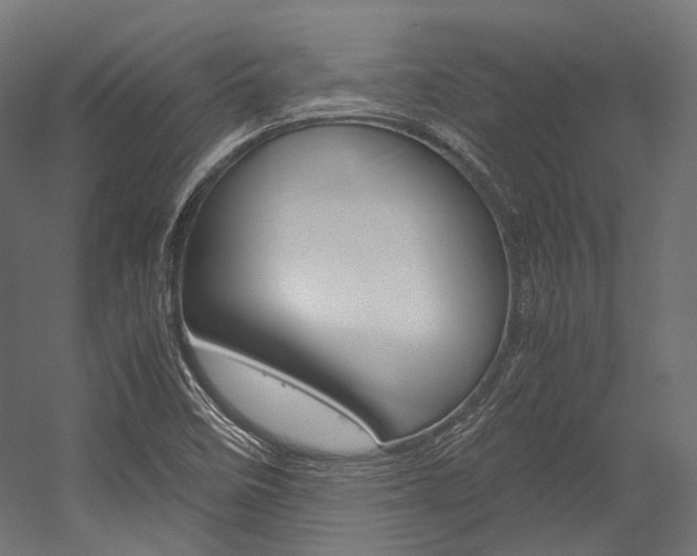 X0000054471458200507291035