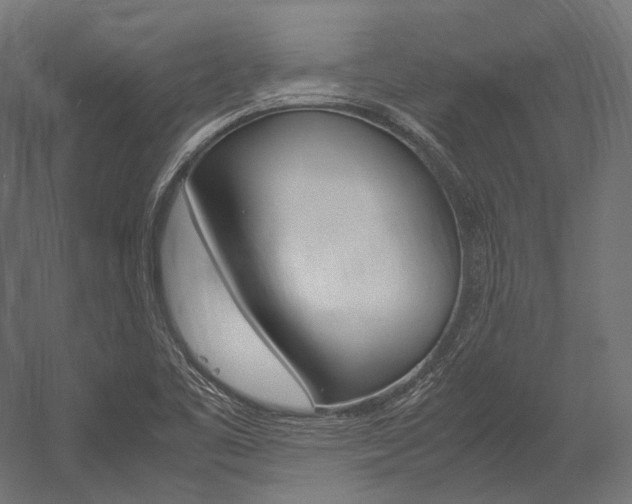 X0000054471461200507291035