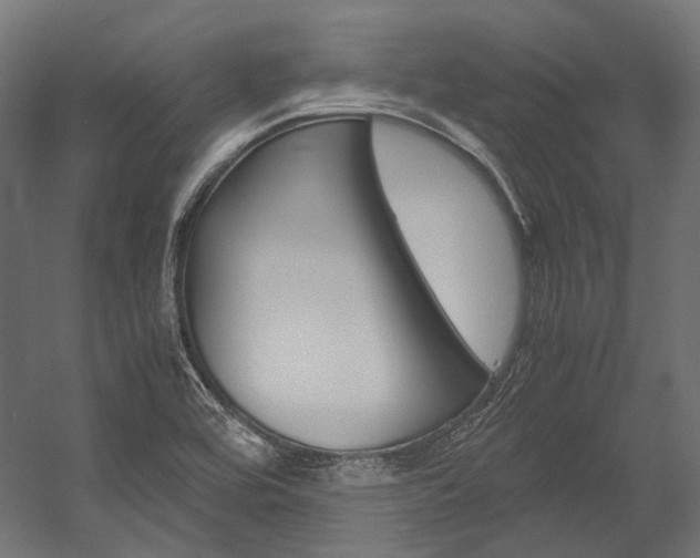 X0000054471464200507291035