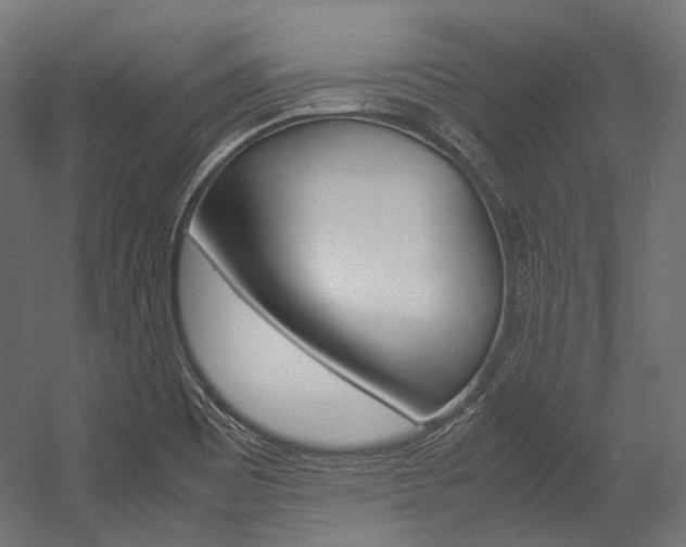 X0000054471465200507291035