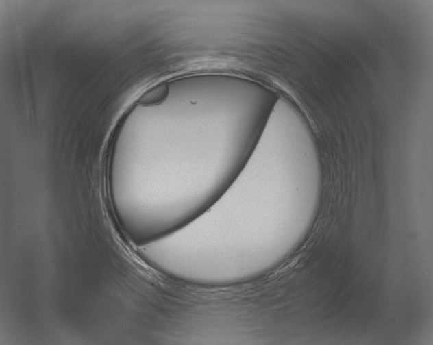 X0000054471467200507291035