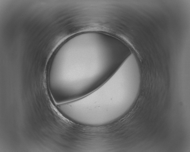 X0000054471468200507291035