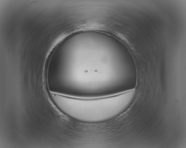 X0000054471469200507291035