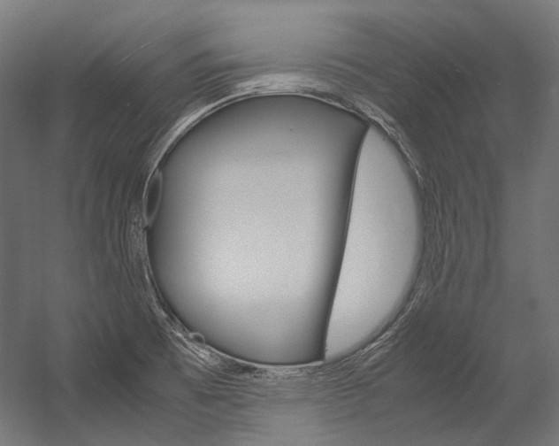 X0000054471473200507291034