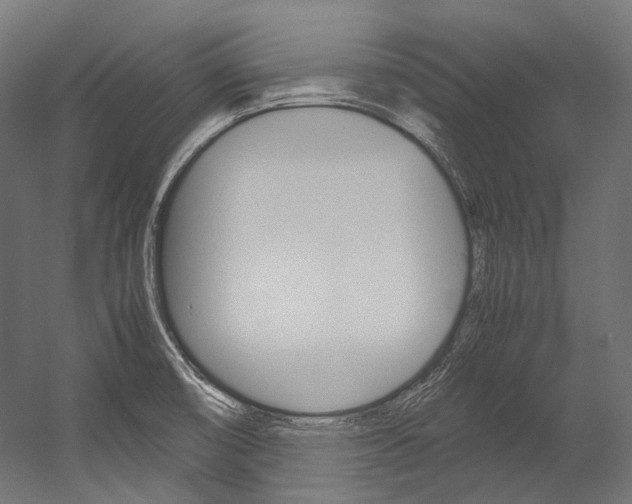 X0000054471474200507291034