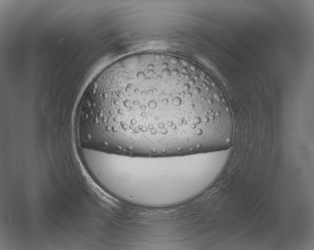 X0000054471475200507291034