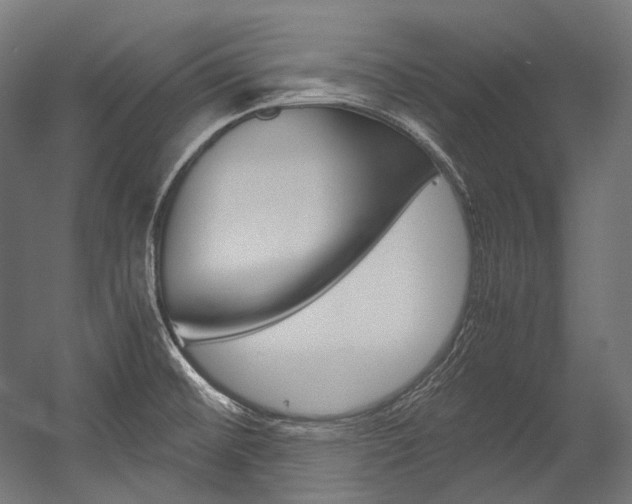 X0000054471476200507291034