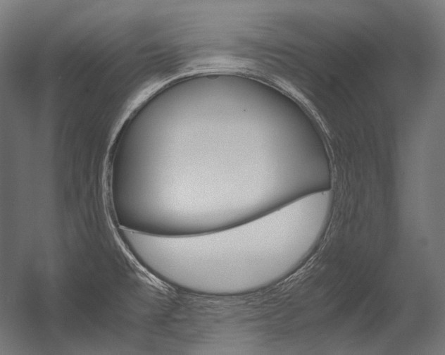 X0000054471477200507291034