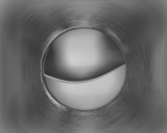 X0000054471479200507291034