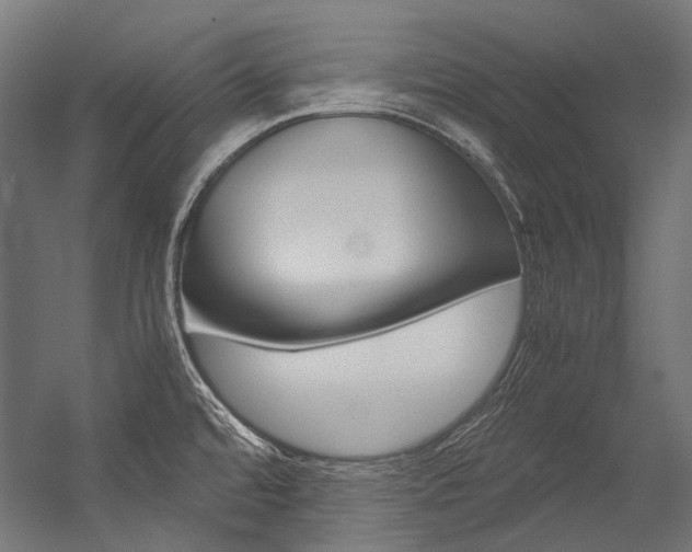 X0000054471480200507291034
