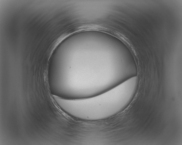 X0000054471481200507291034