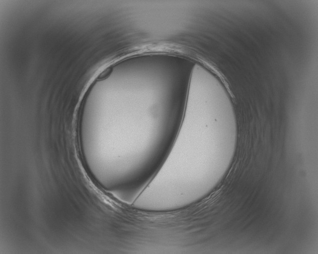 X0000054471483200507291034