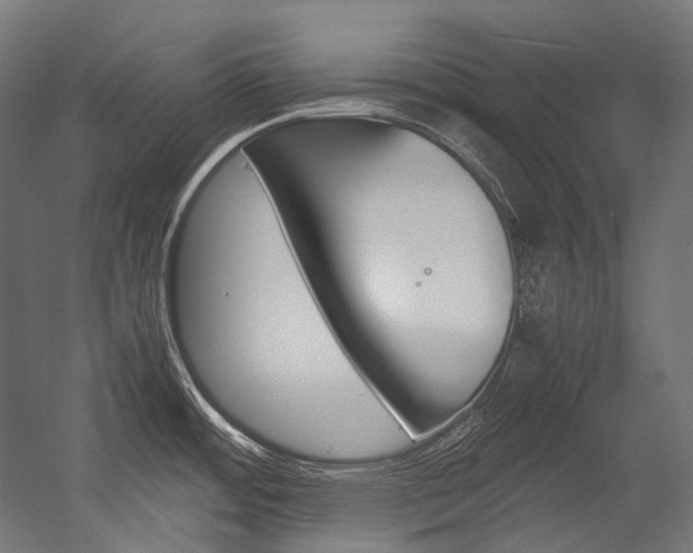 X0000054471484200507291034