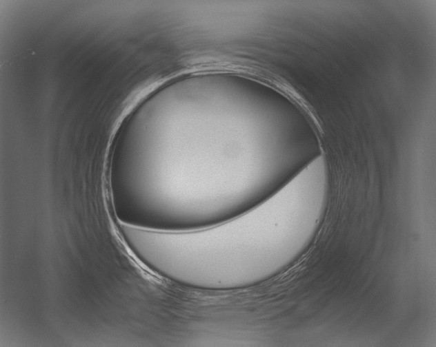 X0000054471485200507291034