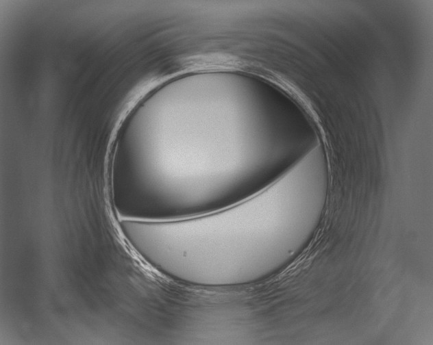 X0000054471488200507291034
