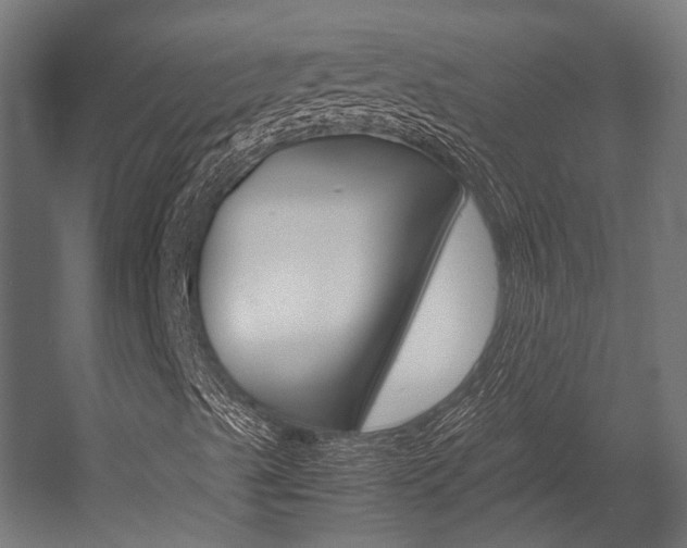 X0000054471489200507291033
