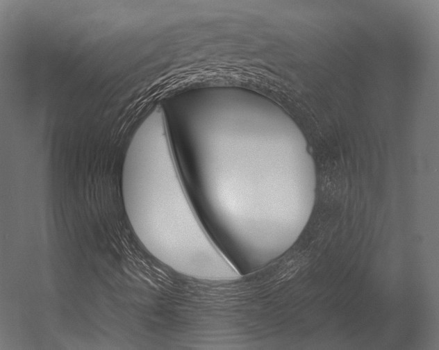 X0000054471490200507291033