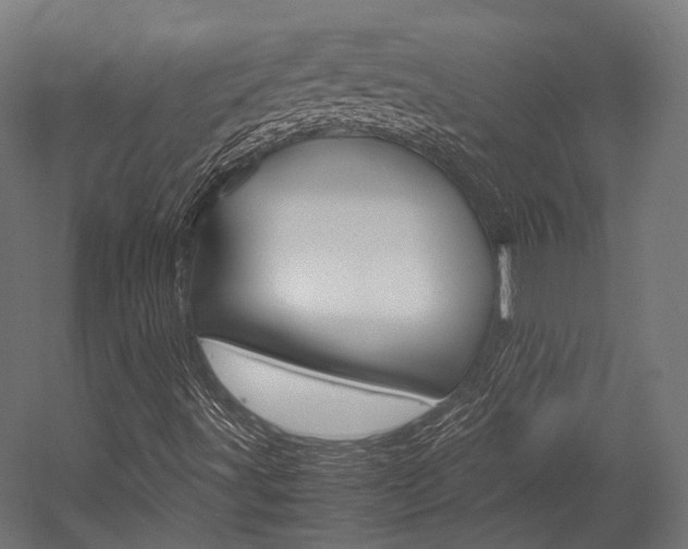 X0000054471491200507291033
